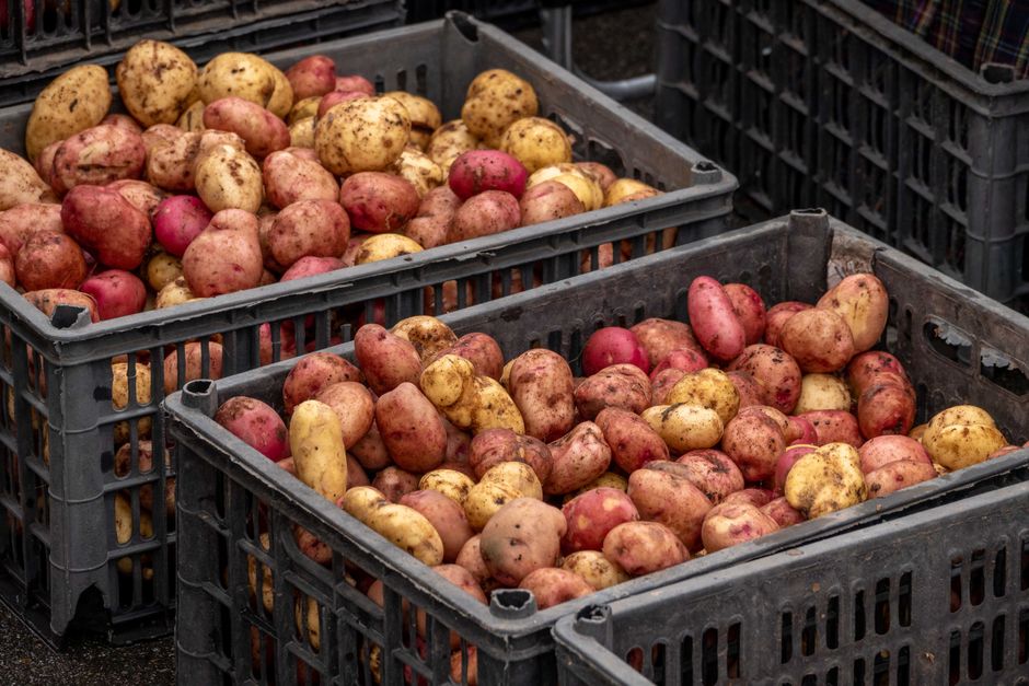Crates of fresh produce ready for distribution